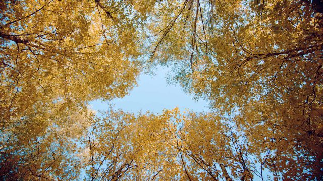 Filmproduktion – Werbefilm – Schreinerei Raumobjekt Freiburg